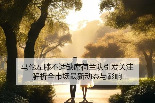 马伦左膝不适缺席荷兰队引发关注 解析全市场最新动态与影响